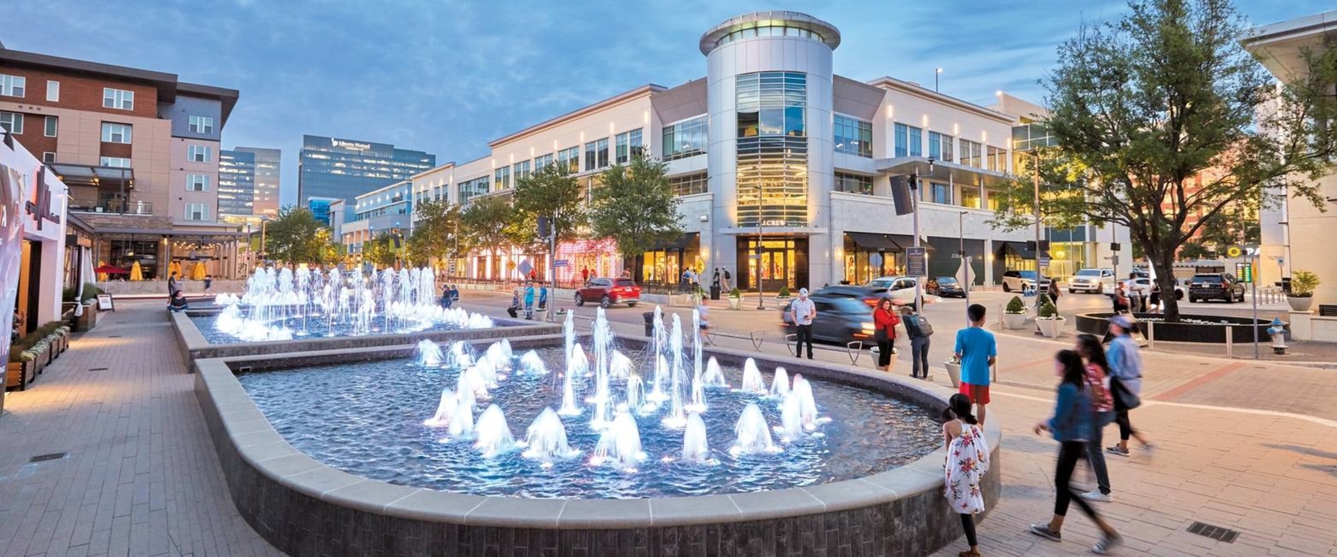 Exploring the Demographics of Community Organizations in Plano, Texas